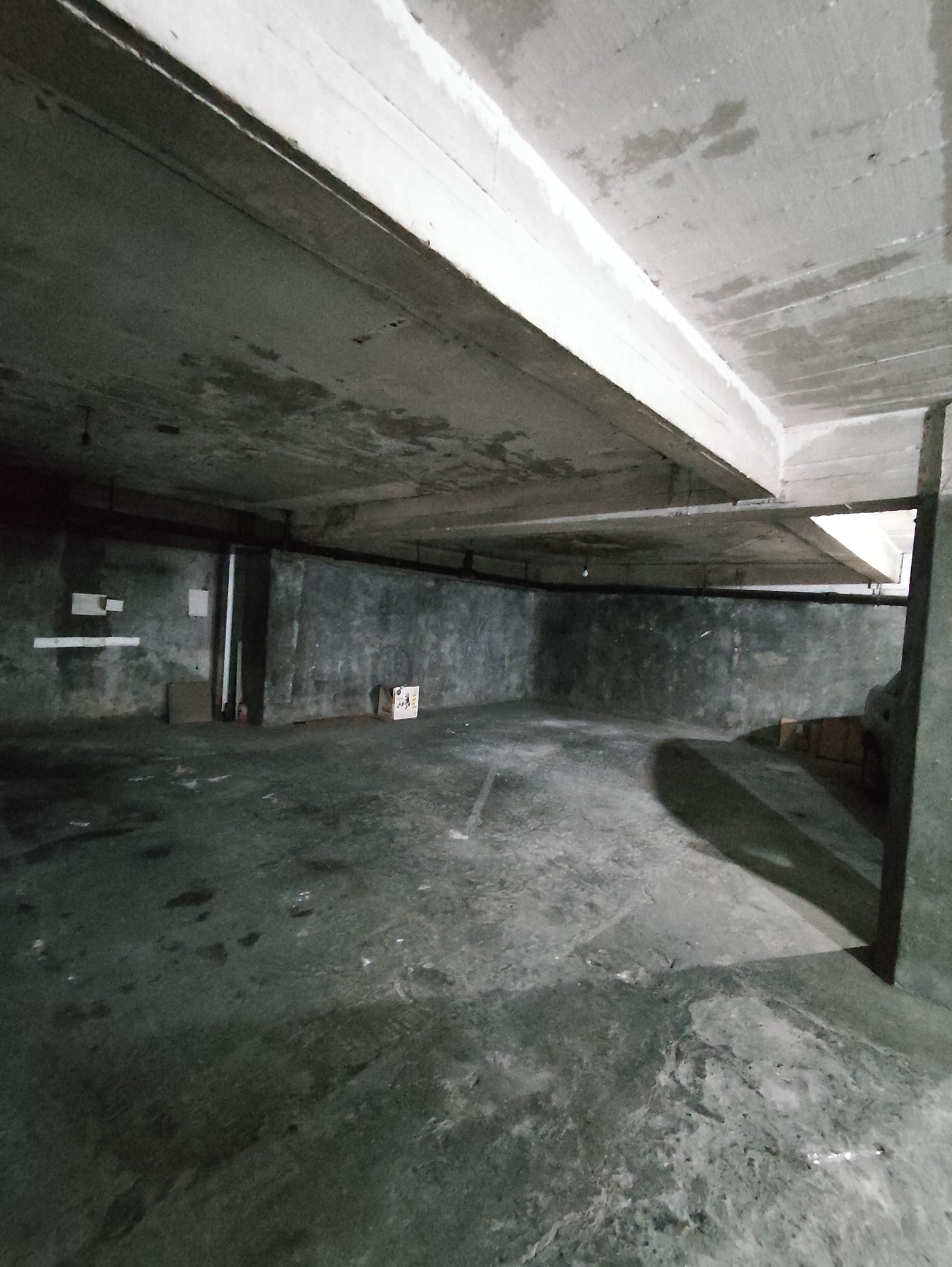 IMG_20251004_140450 1-min.jpg